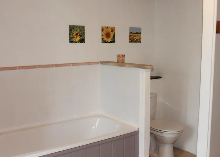 Au Mas De Janita, Et Table D'hotes 3* Cahuzac-sur-Vère