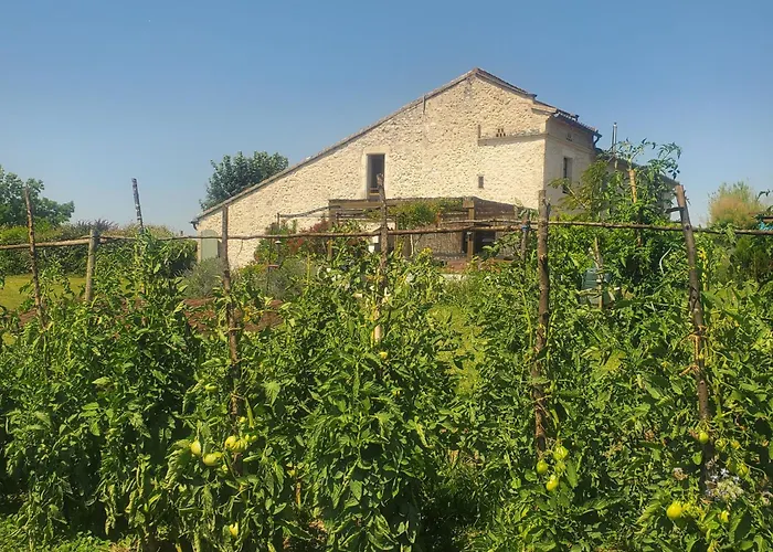Au Mas De Janita, Et Table D'hotes Affittacamere Cahuzac-sur-Vère