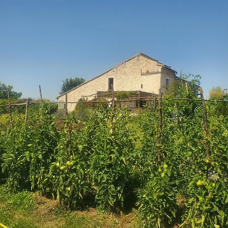 Au Mas De Janita, Et Table D'hotes Konukevi Cahuzac-sur-Vère